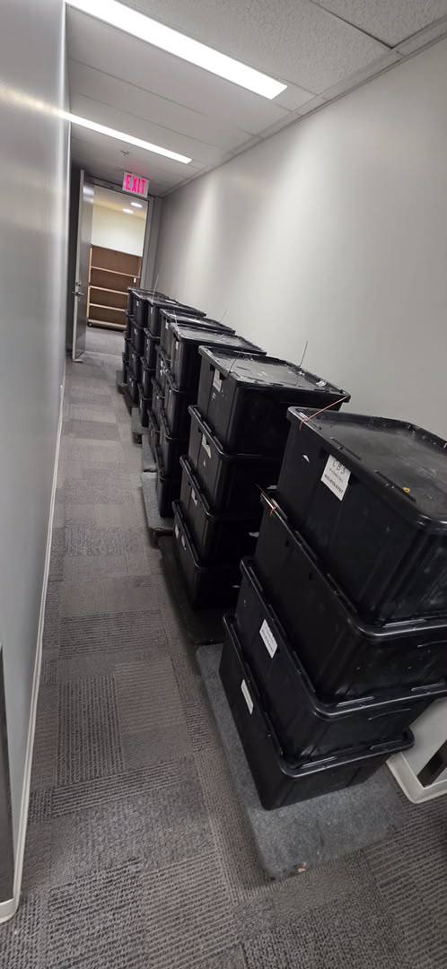 Packed moving boxes